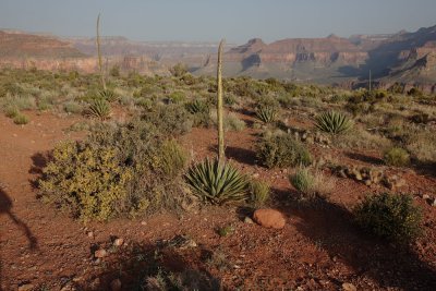 _MG_2485.JPG
