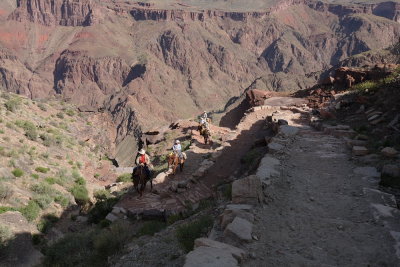 _MG_2550.JPG
