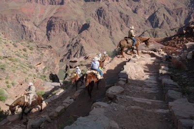 _MG_2552.JPG