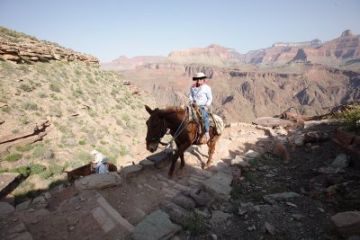 _MG_2553.JPG