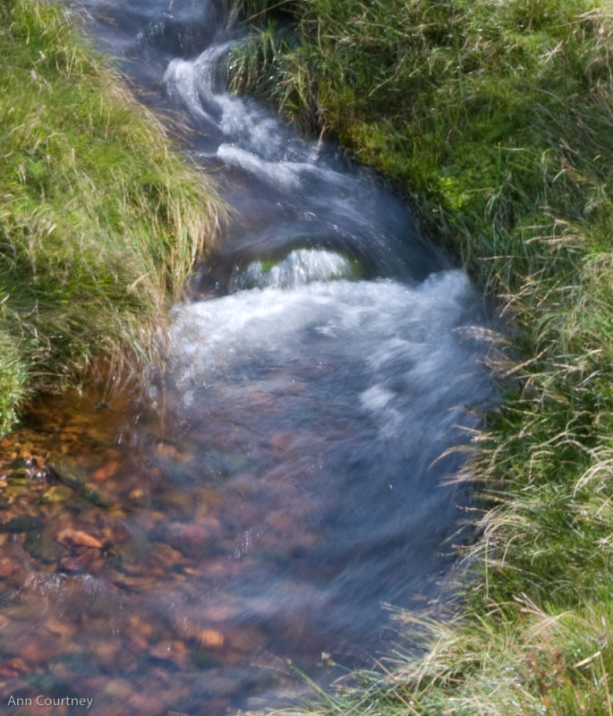 A Dartmoor Stream