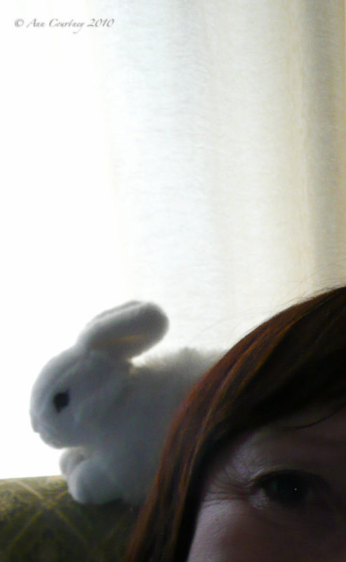 Me n the wabbit
