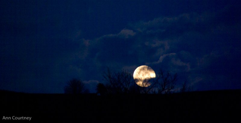 Howl at the.........