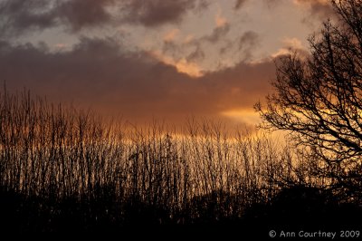  Evening approaching