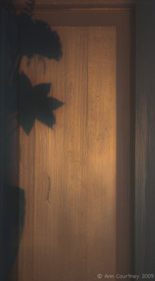 Shadows on a door