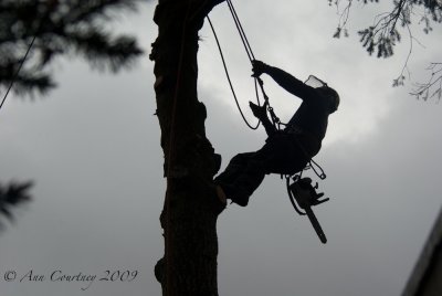 Climbing