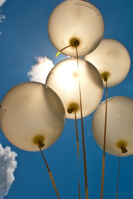 Sky High!!
