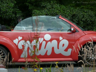Mine