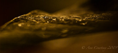 Moisture.