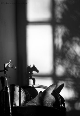 Companion shadows