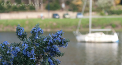 g3/63/768563/3/123787998.mTPO70Dq.jpg