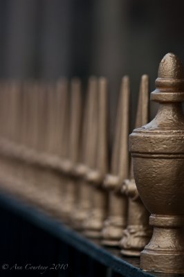 Town Hall railings