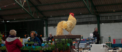  Cheep to feed ;)