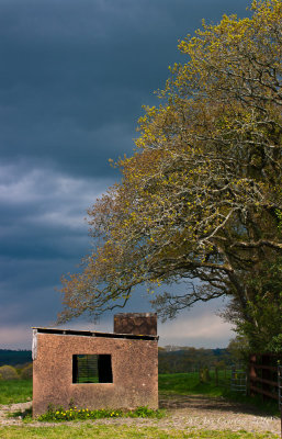 Change in the weather