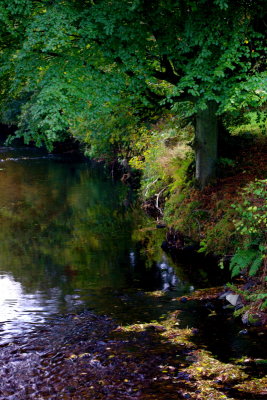 River Taw at Bondleigh