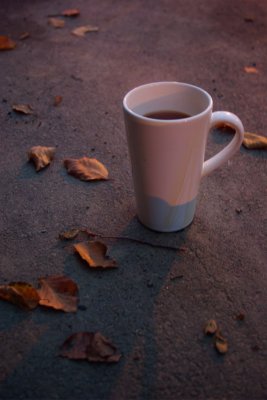 Mug