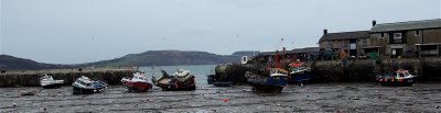 The Harbour and Cobb