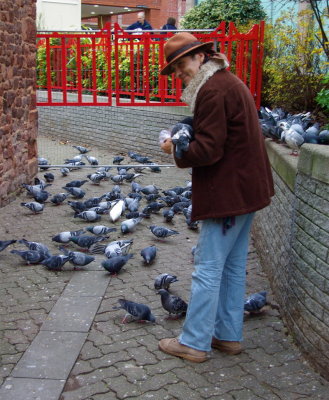 Feeding the Pigeons