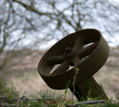 Wheel