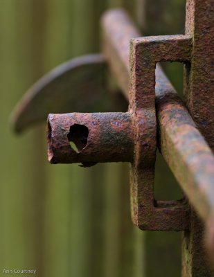 Rusty latch