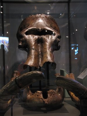MastadonSkull1.JPG