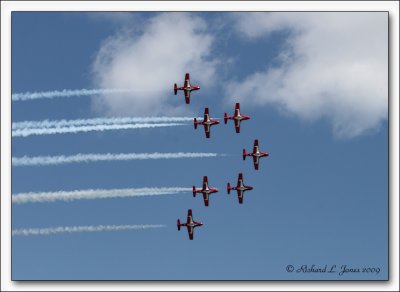 snowbirds