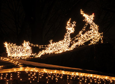 Sleigh and Reindeer_8612.jpg