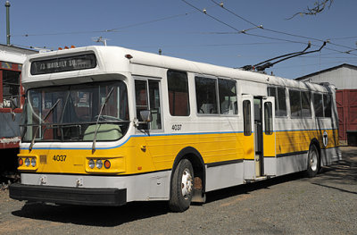 Trolley Bus_1160.jpg