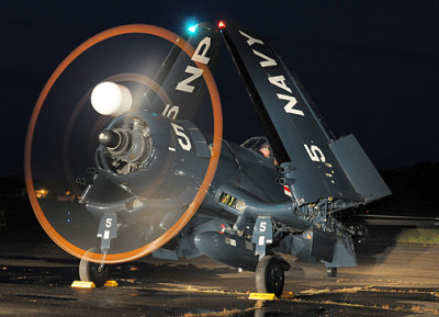 Night Wings Folded_4812.jpg