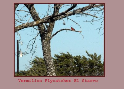 vermilion222.jpg
