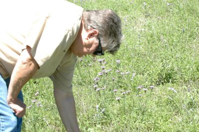 424NealsNQ 046wildflowerlooking.jpg