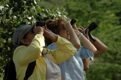 51MayDayNeals 039birders.jpg