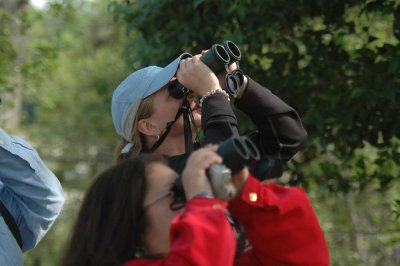 51MayDayNeals 043birderSusan.jpg