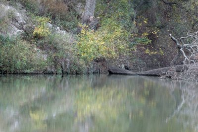 Cooks Slough DSC_9317.jpg