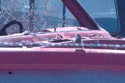March19NealsEstarvo 058.JPG