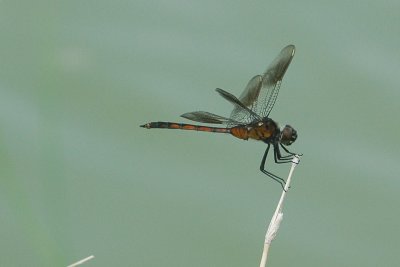 g3/63/778763/3/96241354.Aj82j8fp.jpg