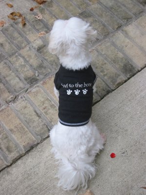 Simon in T-Shirt Rear View