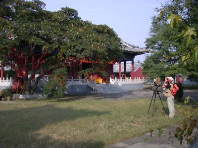 The Temple garden