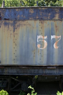 IMG_6228.jpg