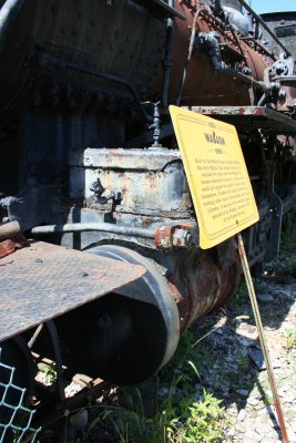IMG_6255.jpg