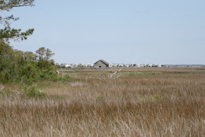 landscapes