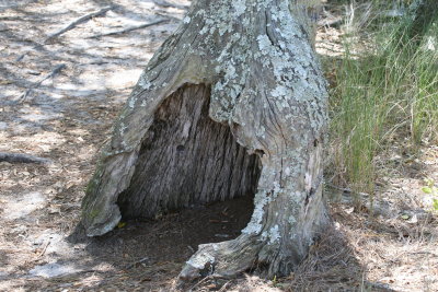 Merlin's Cave.jpg