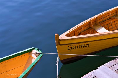 Cape Ann, Massachusetts 2009