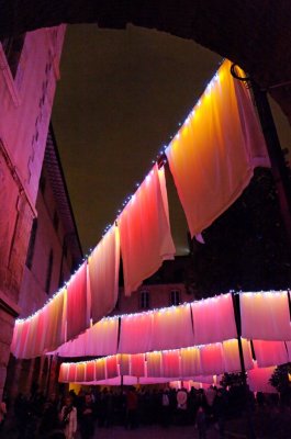 DSC_0061_raw.jpg