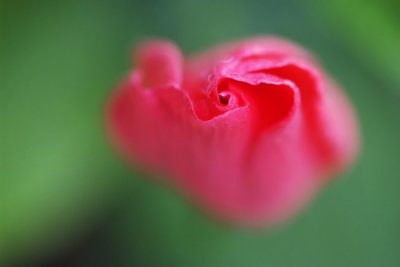 DSCF2501.jpg