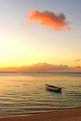 DSCF3863.jpg