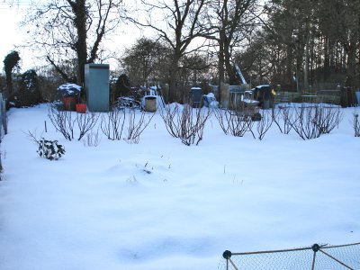 winter view.jpg