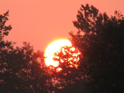 August Sunrise