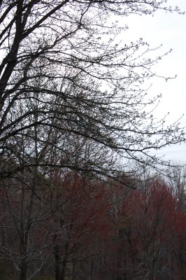 April Showers