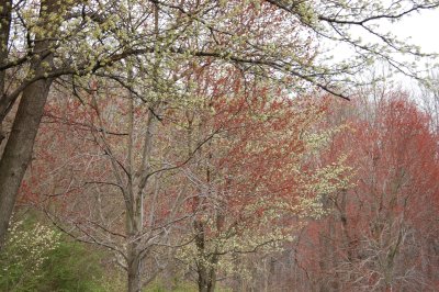 Springing Ahead